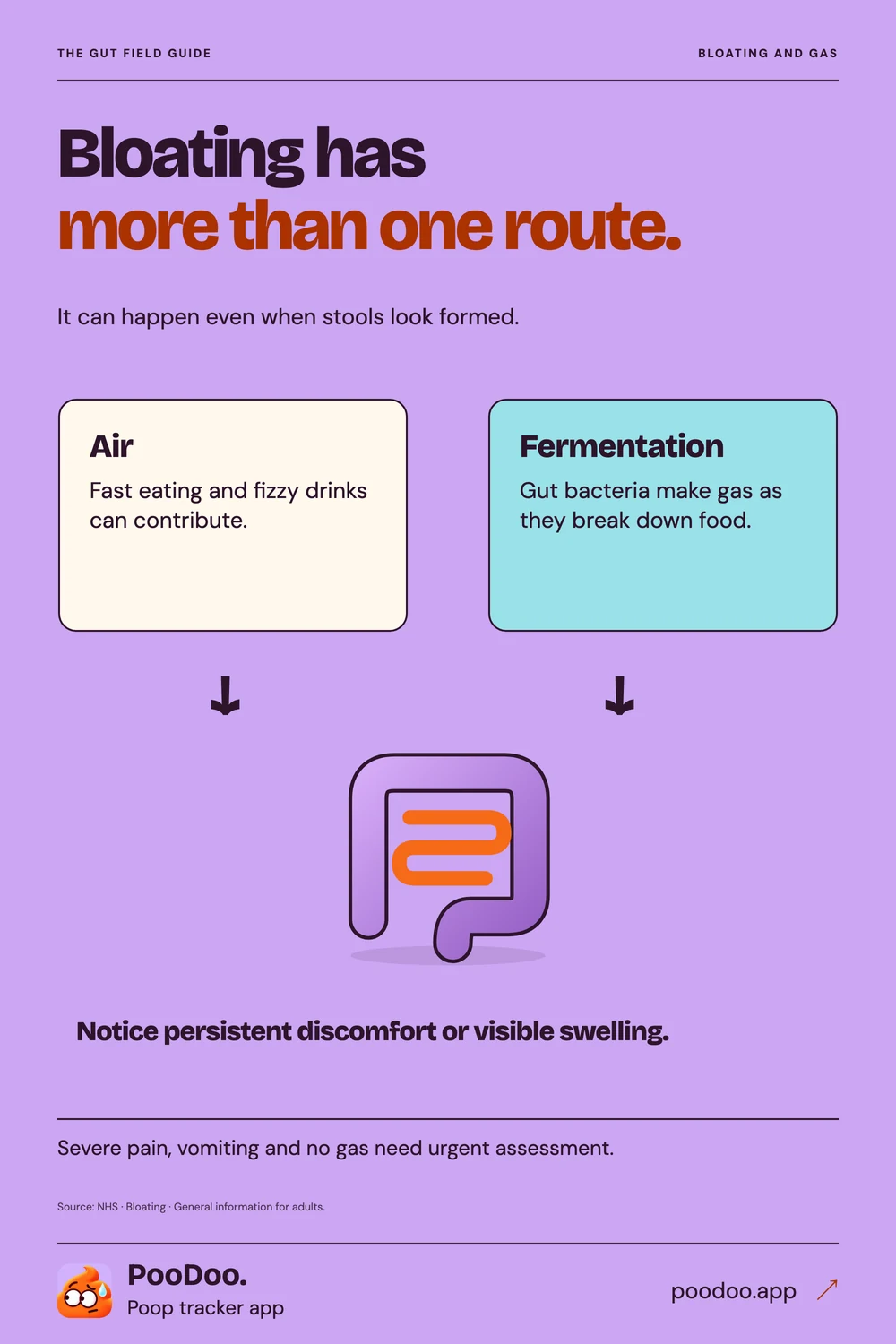 Illustrated guide to bloating, gas, meal habits and symptom tracking.