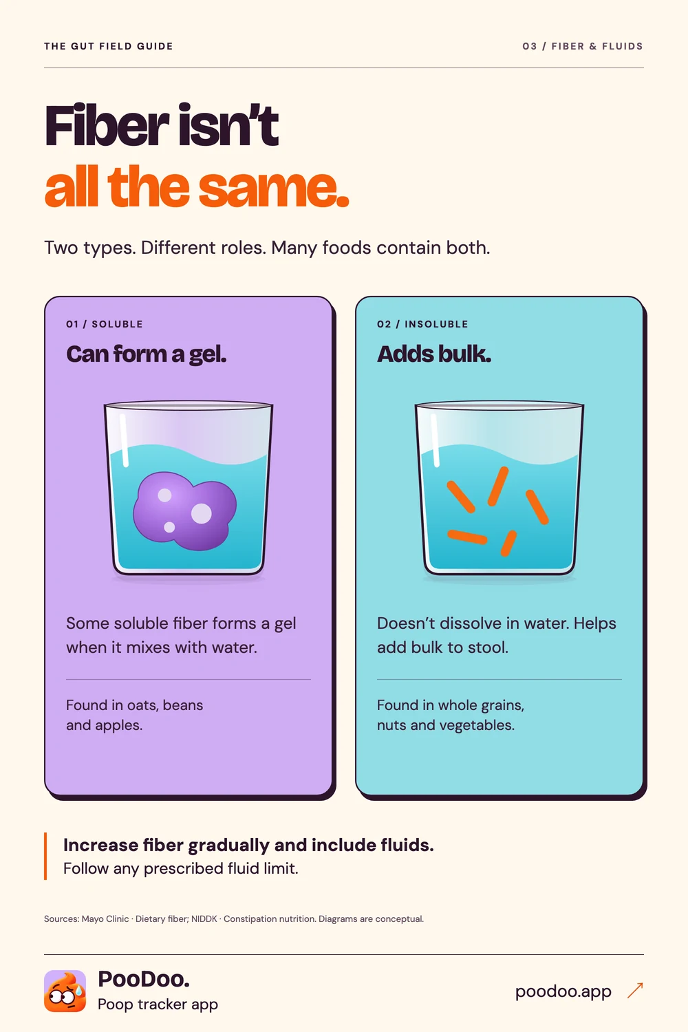 Illustrated comparison of soluble and insoluble fibre with everyday food examples.