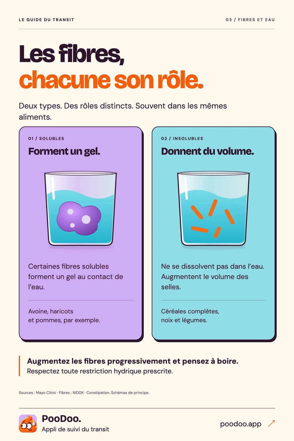 Infographie présentant les fibres solubles et insolubles et des aliments qui en contiennent.