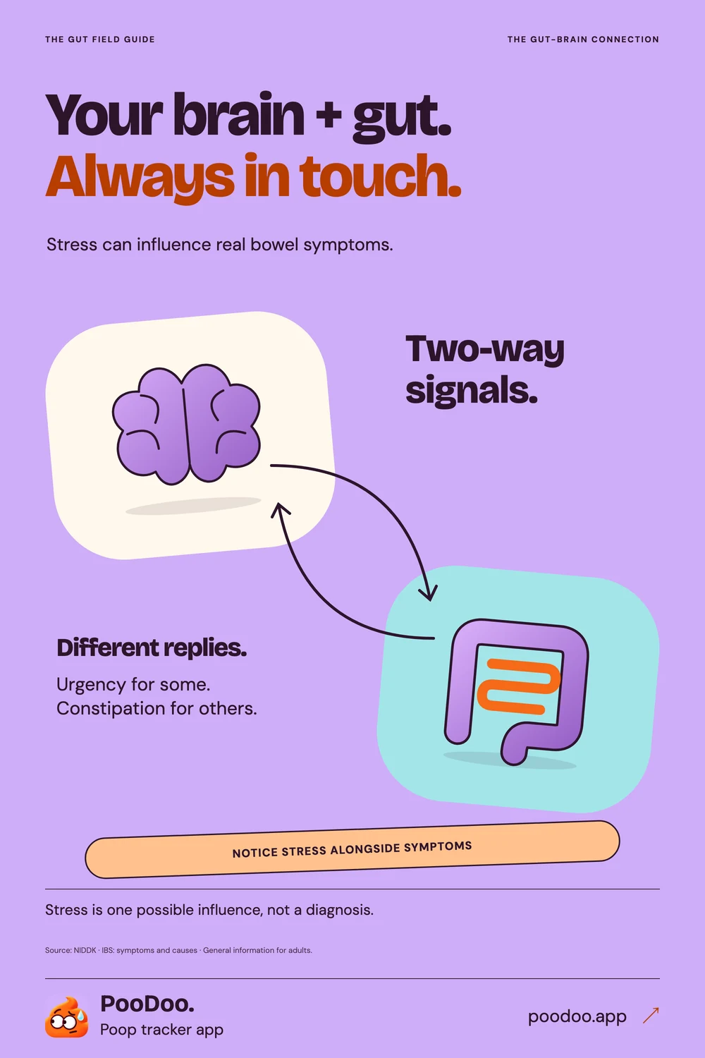 Illustrated guide to the brain-gut connection, stress and daily habits.